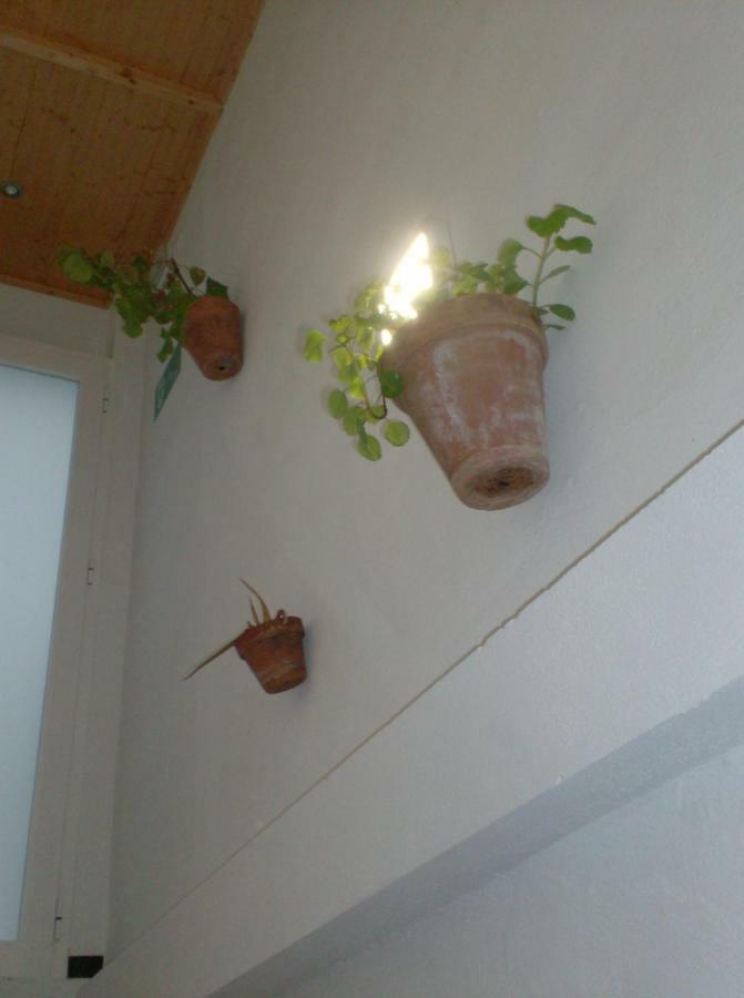 Rocio Rooms El Rocío Zewnętrze zdjęcie
